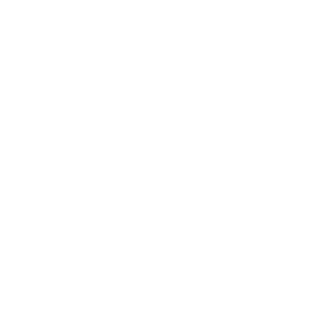 DIGITAL STYLE HOUSE logo